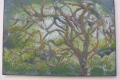 arbre du Verdier - hors série